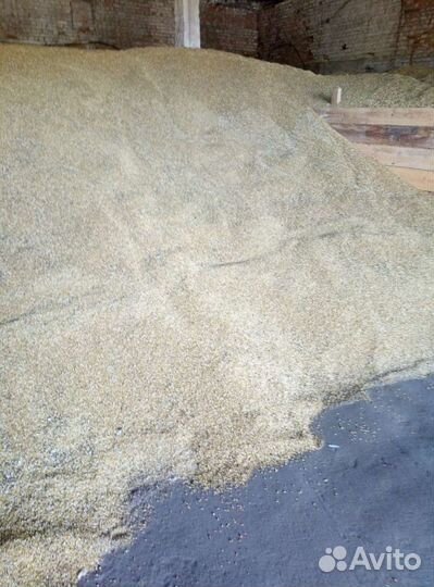 Корма смесь. овес горох