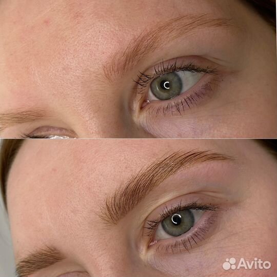 Мастер бровист