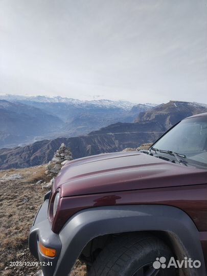 Аренда авто с водителем