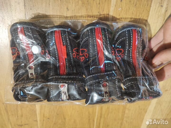 Одежда и обувь для собак