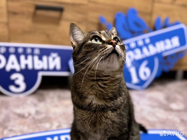 Тaбличка для домa