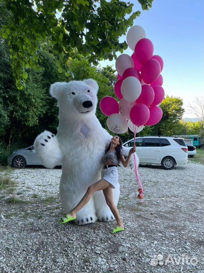 Белый Медведь Панорамычь поздравление Аниматор