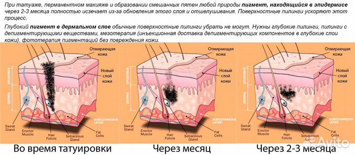 Обучение татуировке