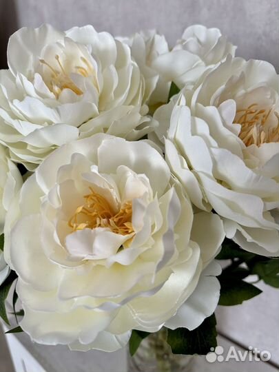 Искусственные пионы