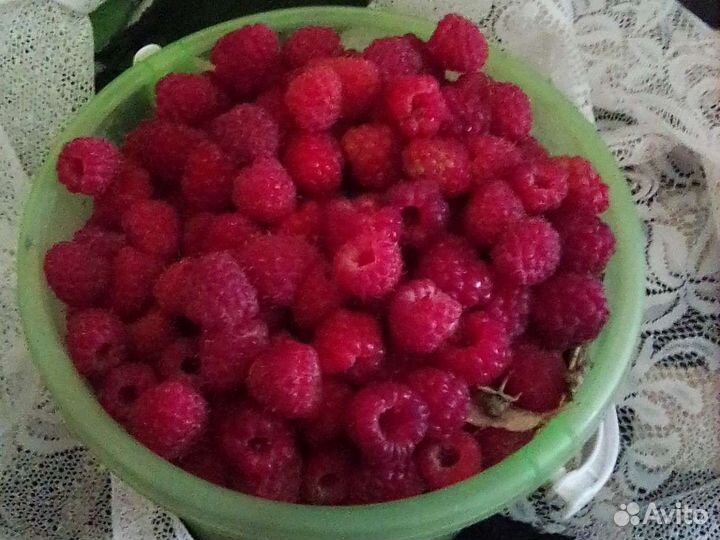 Малина отборная