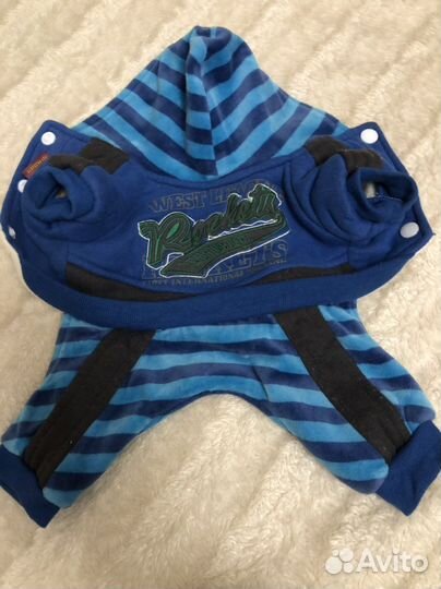 Одежда для собак мини/ стандарт