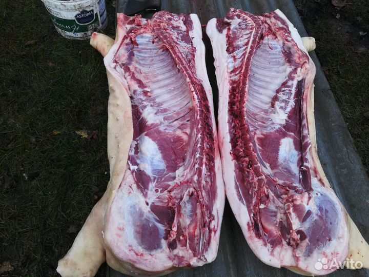 Мясо свинина домашняя