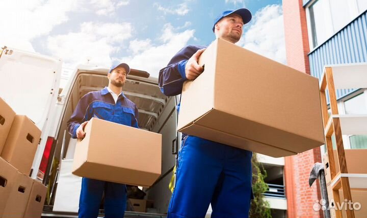 Грузчик-мерчендайзер