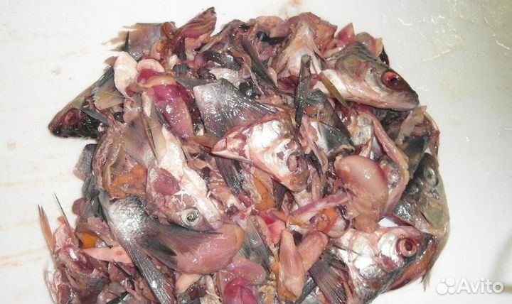 Корм для собак, курей, свиней