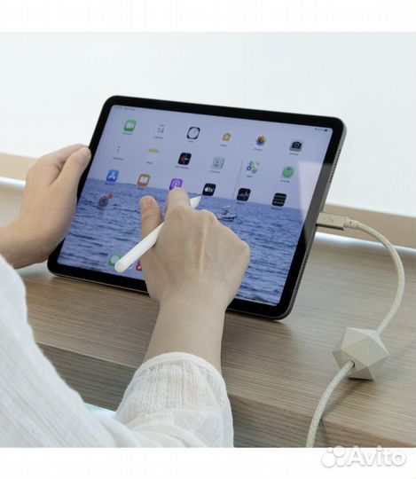 Native Union Кабель USB-C 2.4m