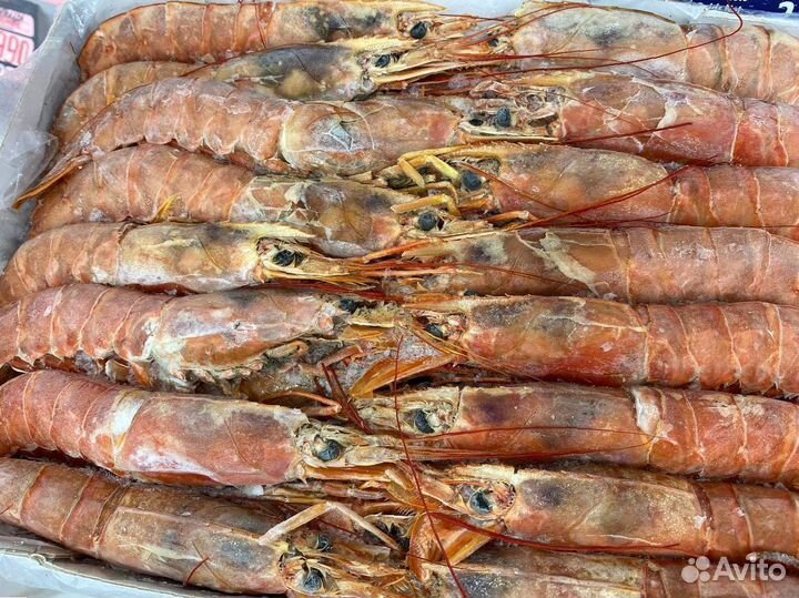Лангустины L1 крупный. Доставка РФ. Опт
