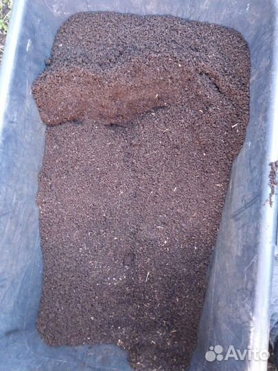 Черви для рыбалки