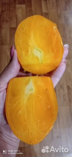 Семена сортовых томатов