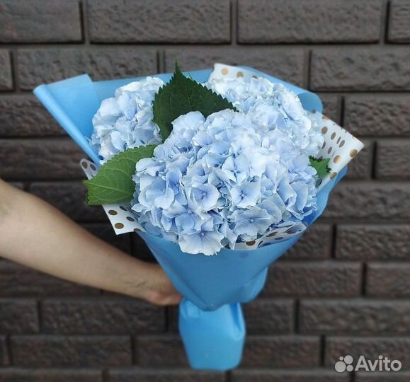 Гортензии Букеты из гортензий Цветы Доставка