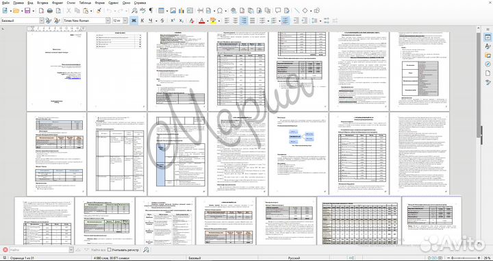 Бизнес план