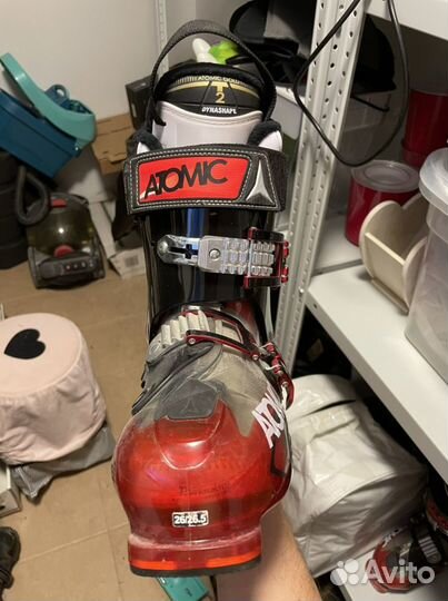 Горнолыжные ботинки