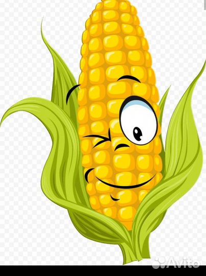 Кукуруза кормовая