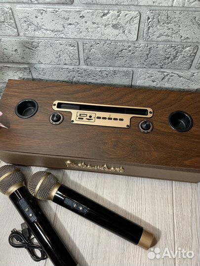 Портативная беспроводная караоке система