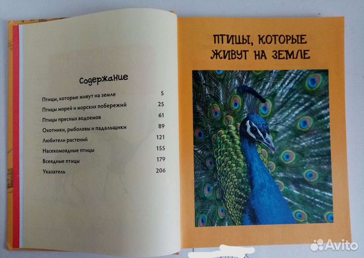 Детские книги - энциклопедии