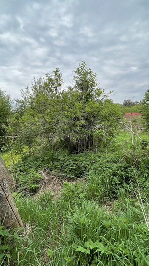 Участок 4 га (СНТ, ДНП)