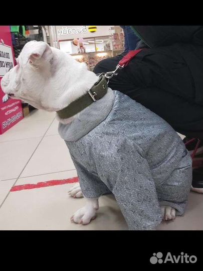 Комбинезон теплый