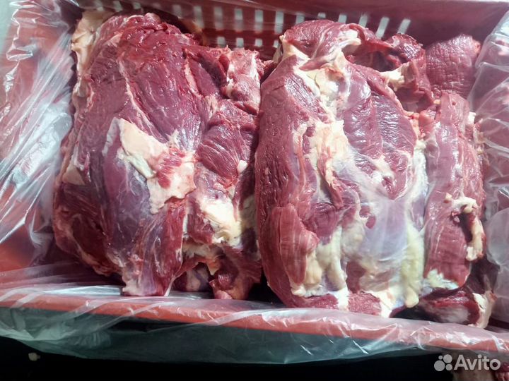 Мясо говядина без кости от 200 кг