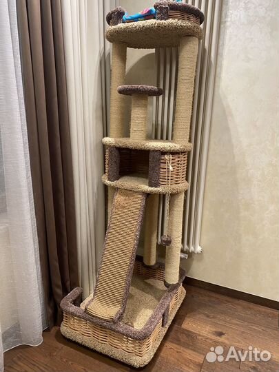 Когтеточка домик для кошки бу