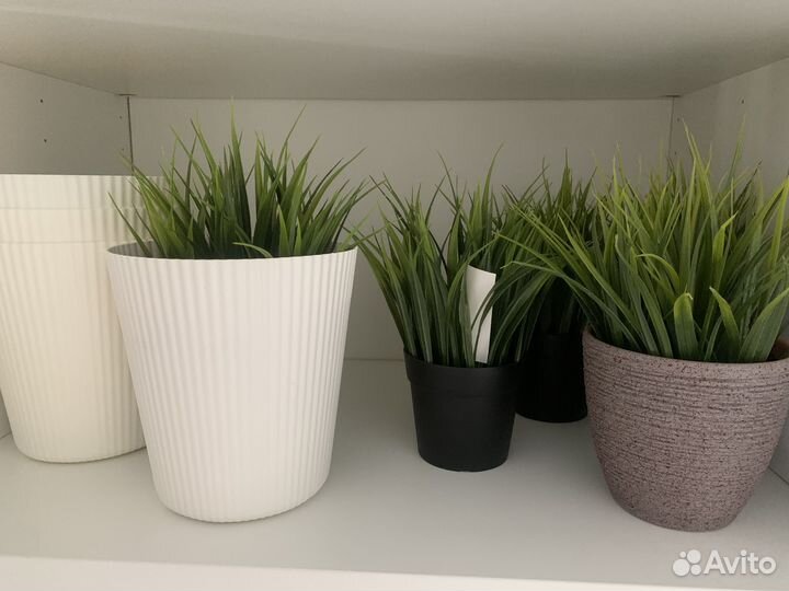 Травка икеа с горшочками