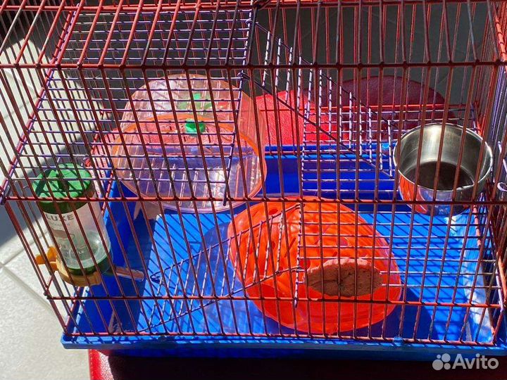 Клетка для грызунов бу