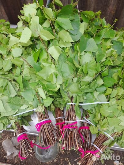 Банные веники