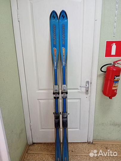 Горные лыжи