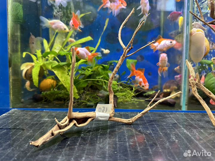 Коряги для террариума, аквариума