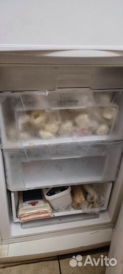 Холодильник Indesit