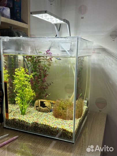 Аквариум 18 л
