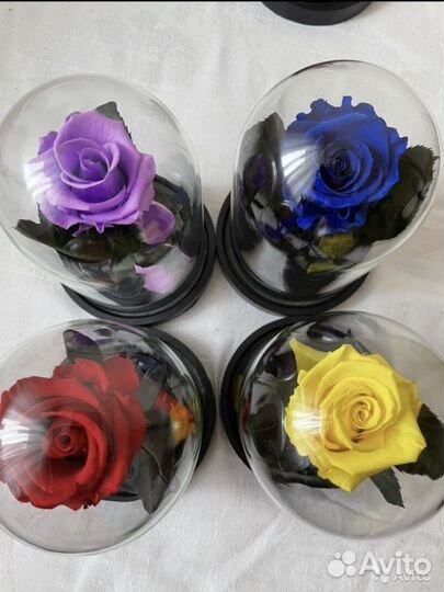 Роза в колбе