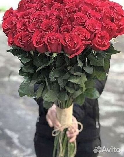Высокие розы Гигантские Розы 150 160 170 180 190см