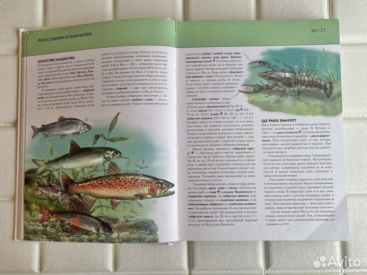 Детская энциклопедия Животные Подводный мир Космос