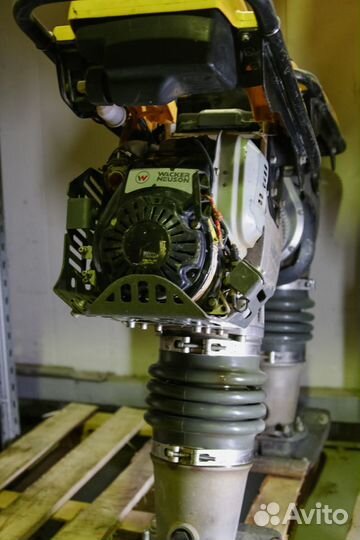 Вибротрамбовки Wacker Neuson в аренду