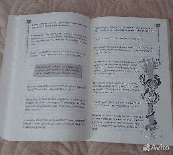 Книга 500 научных фактов, которые вас удивят