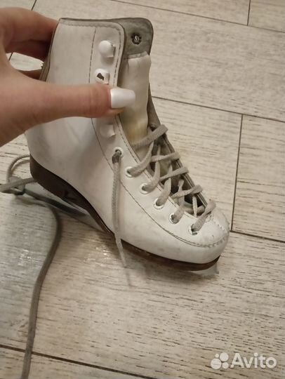 Коньки wifa prima set 20LL