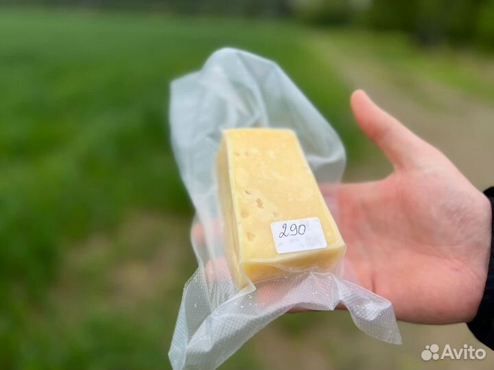 Домашняя масло и сыр