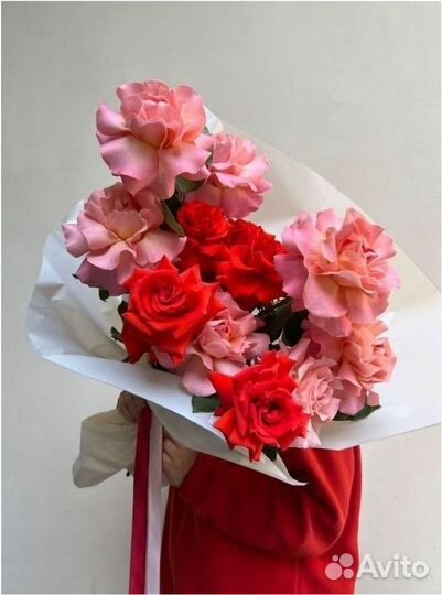 Французская роза с доставкой