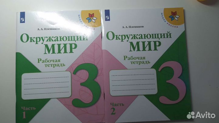Рабочая тетрадь 3 класс 2 часть окружающий мир