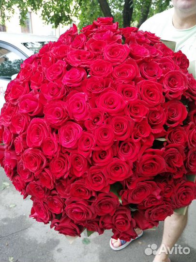 Роза местная, букеты
