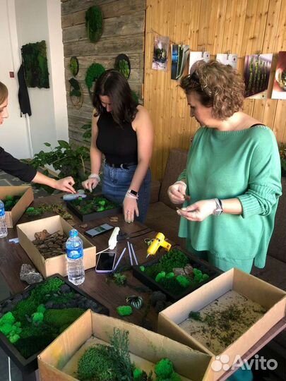 Мастер класс по мху