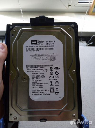 Видеокарта Western Digital