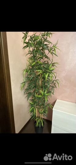 Искусственное дерево IKEA бамбук
