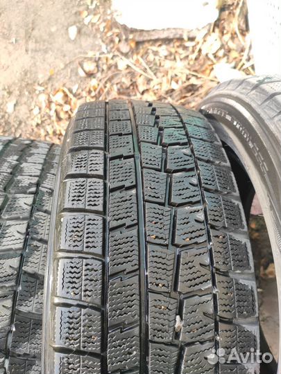 Dunlop Winter Maxx WM01 205/55 R16 94T