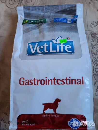 Лечебный корм для собак