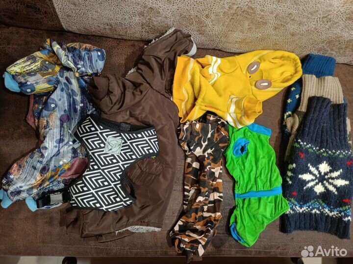 Одежда для маленьких собак пакетом